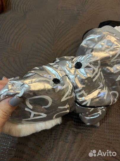 Комбинезон для маленькой собаки