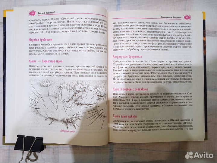 Книга. 1000 тайн животного мира