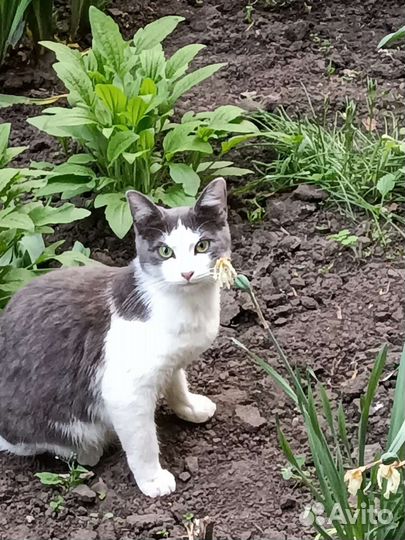 Миша (Мишель)