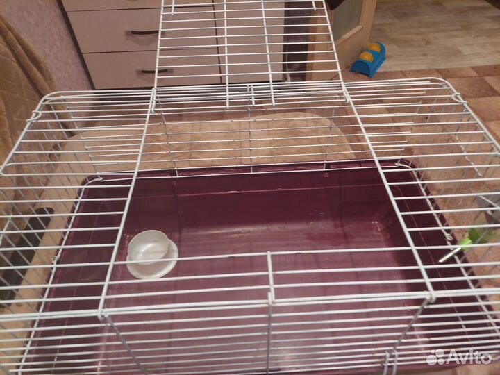 Продам клетки