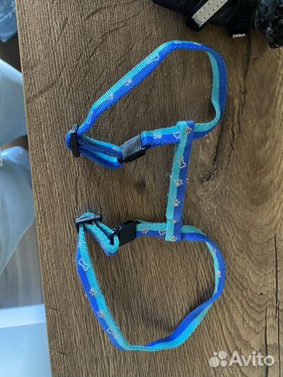 Поводок, ботинки, шлейка для маленькой собаки