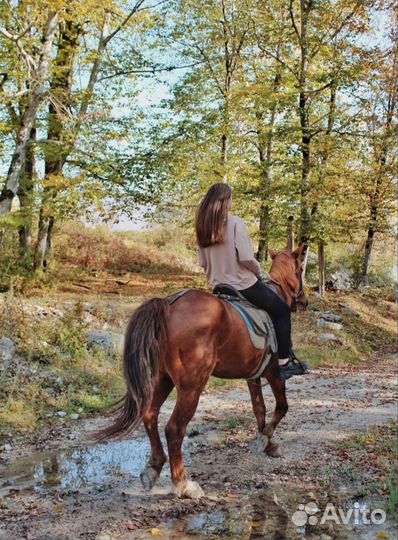 Морские прогулки