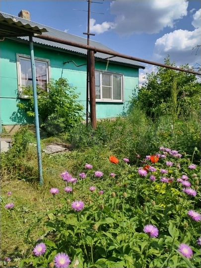 Дом 43,8 м² на участке 10 сот.