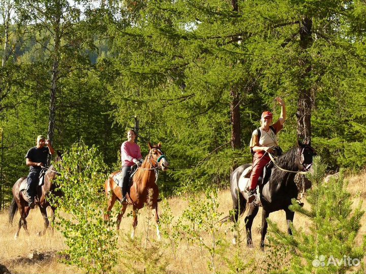 Конные прогулки,Верховая езда, катание на лошадях