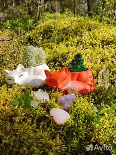 Кашпо, Подарок на день рождения