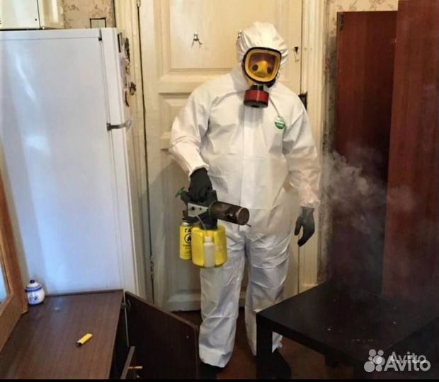 Уничтожение тараканов,клопов,плесени,мышей,крыс