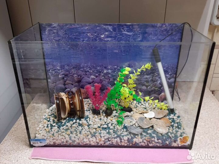 Аквариум