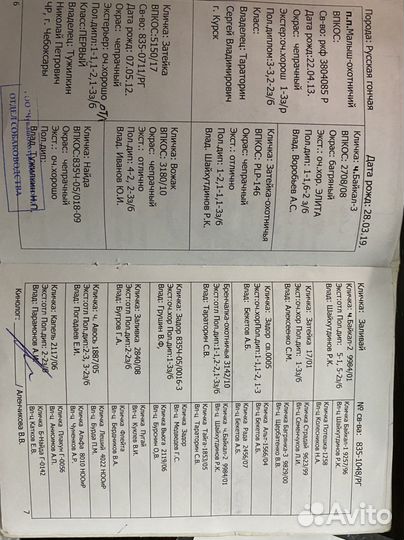 Русская гончая