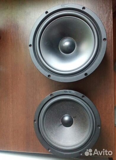 Динамики Canton