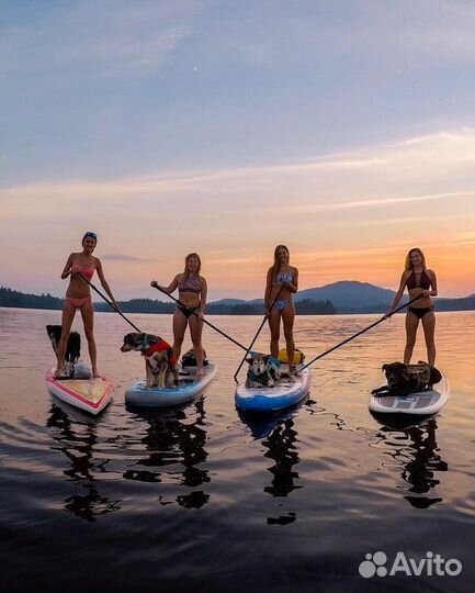 Аренда сап бордов