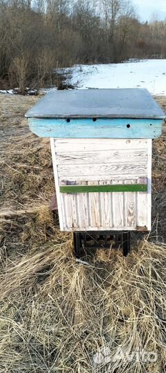 Ульи для пчёл б/у
