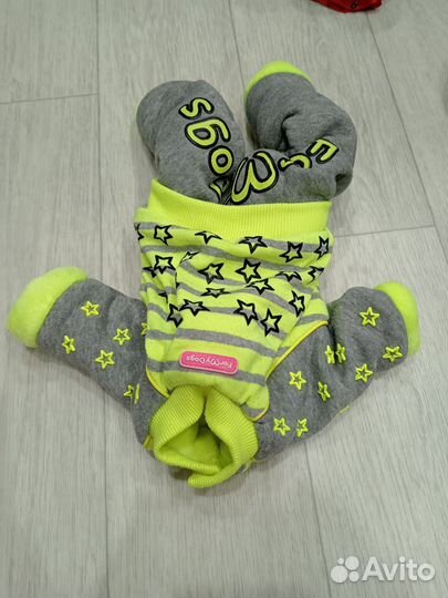 Вещи для маленьких собак