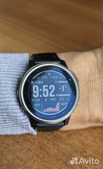 Garmin Fenix 6s