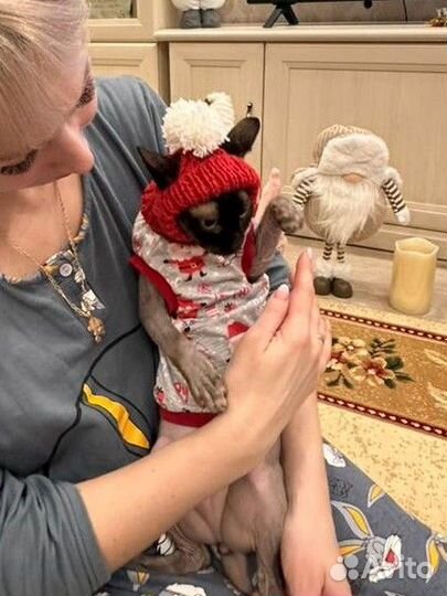 Игрушка для собак и кошек