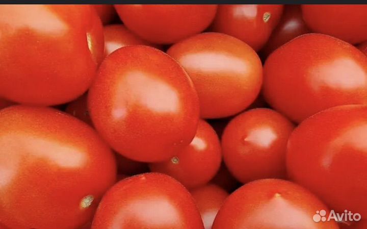 Помидоры не кондиция