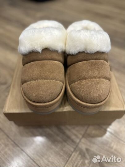 Ugg tazzlita chestnut