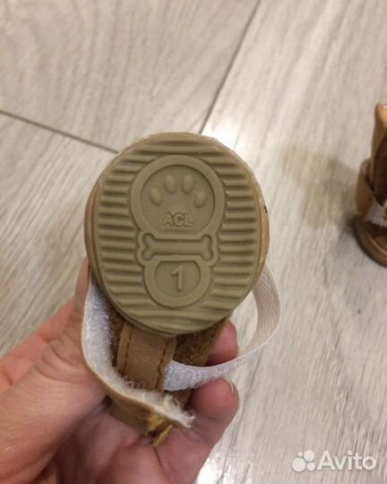 Обувь для маленьких собак