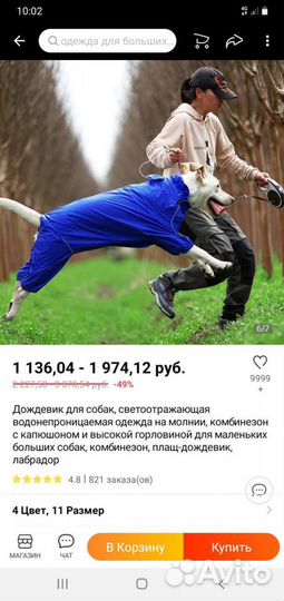 Дождевик для большой собаки