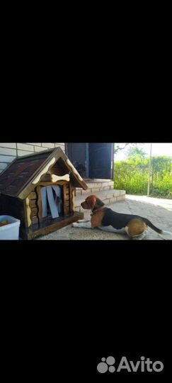 Будка для собаки из массива дерева