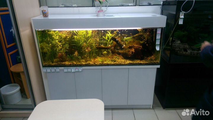 Аквариумы и террариумы в наличии и на заказ