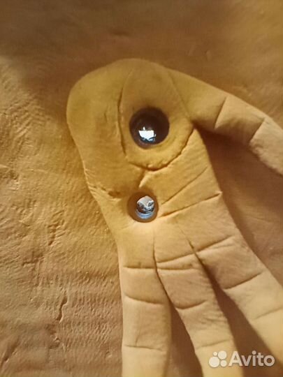 Мартышка и зрачки