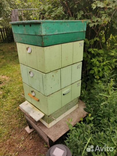 Улей для пчел 3х этажный с рамками