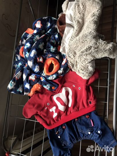 Одежда для маленьких пород собак