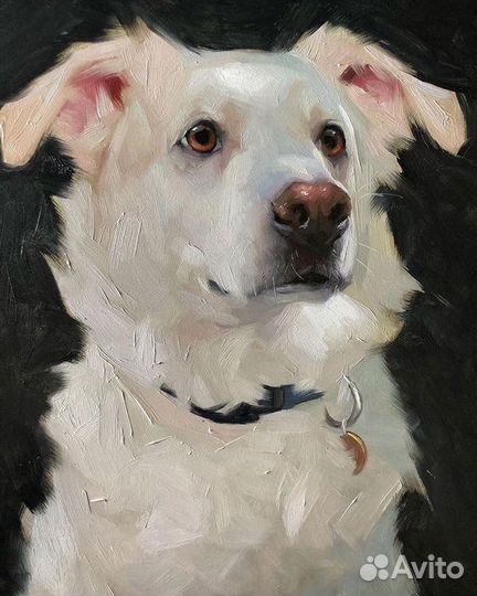 Портреты по фото на заказ, картины в интерьер