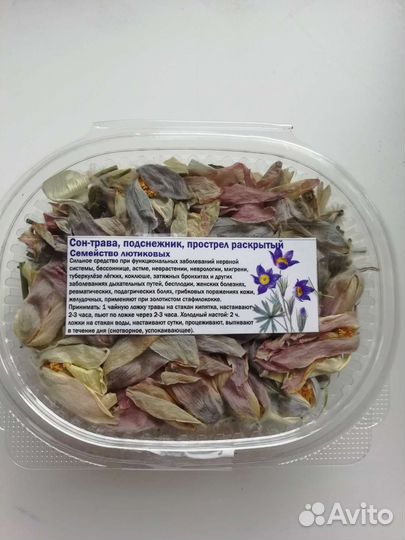 Сон трава, подснежник, прострел раскрытый