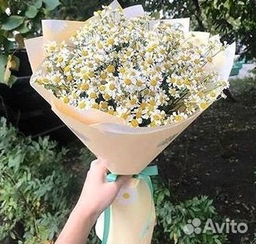 Ромашки букет