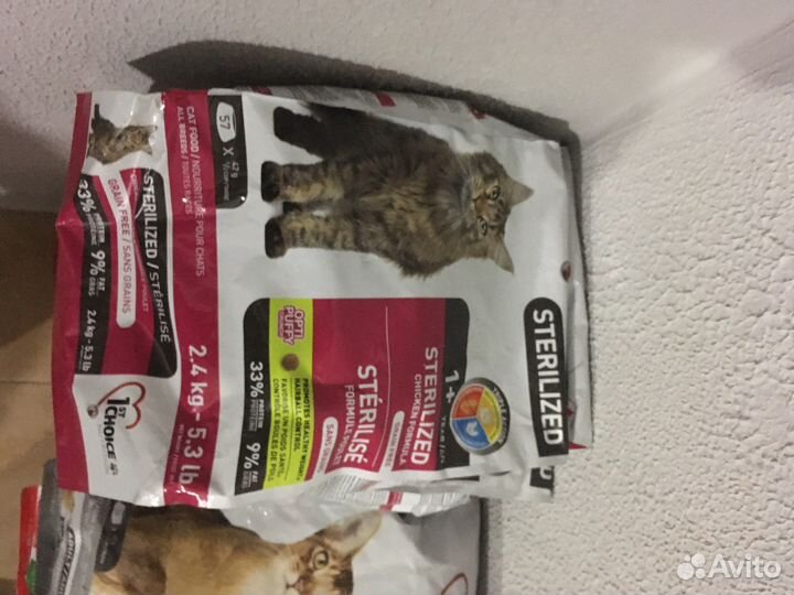 Сухой корм для кошек