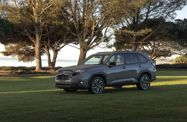 Subaru Forester SL (2024—2026) Внедорожник