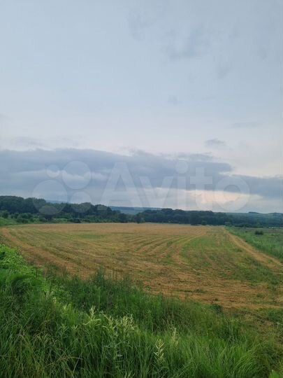 Участок 100 сот. (СНТ, ДНП)