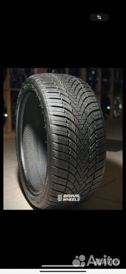 Arivo Winmaster ProX ARW3 205/55 R16 и 215/55 R16 200Z