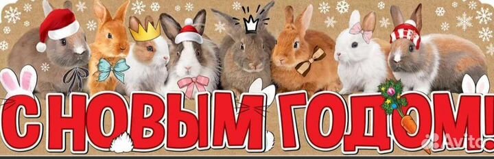 Плакаты растяжки 