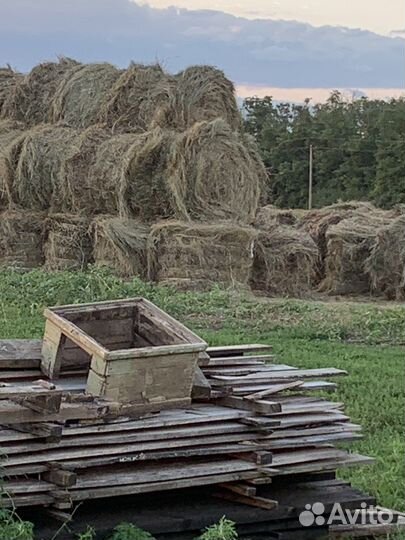 Сено в рулонах