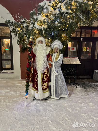 Дед Мороз и снегурочка на дом в школу детский сад