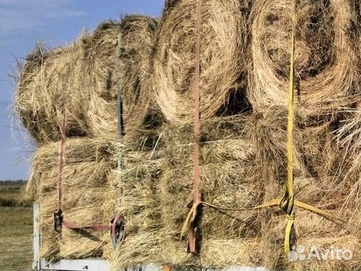 Сено в рулонах
