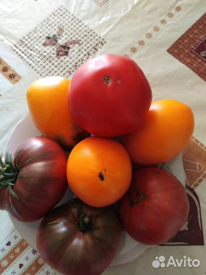 Помидоры свежие
