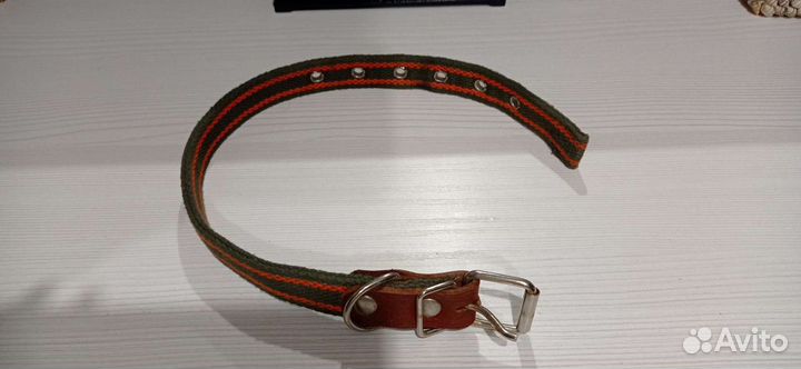 Ошейник для собак