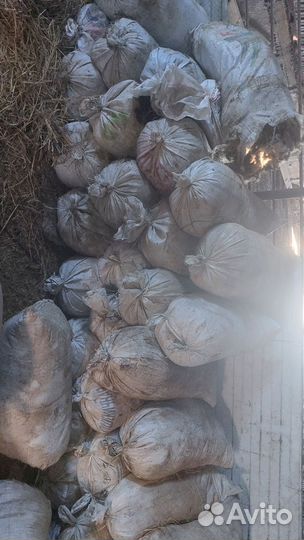 Шерсть овечья