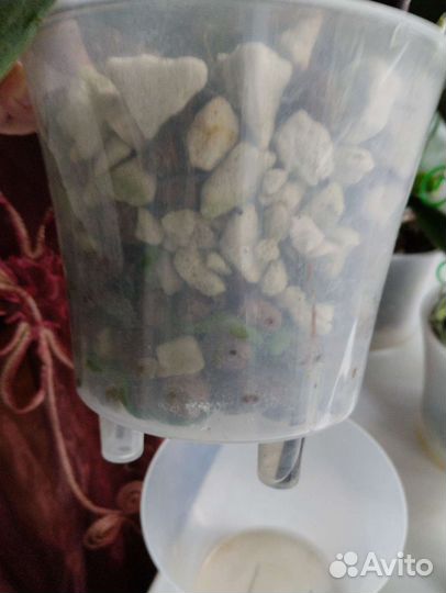 Кашпо горшок для цветов