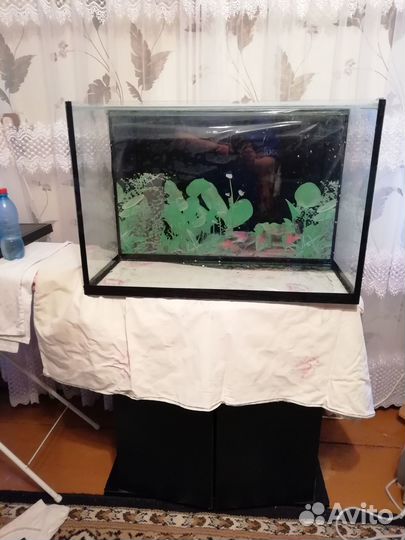 Продаю аквариум бу