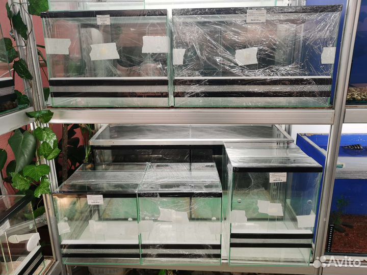 Террариум для эублефара и хамелеона