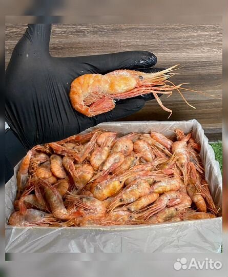 Краб, Креветка, Гребешок