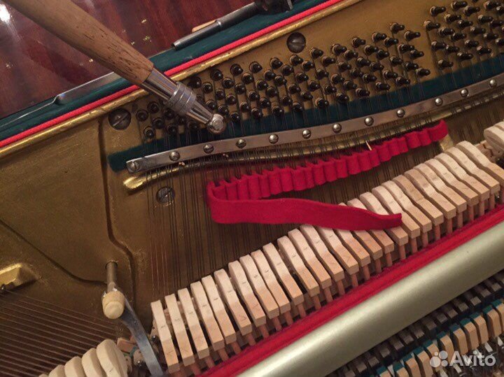 Услуги профессионального настройщика