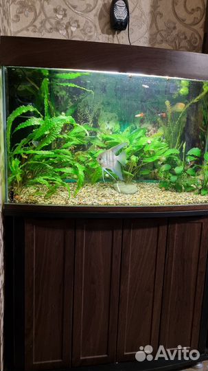 Аквариум с тумбой