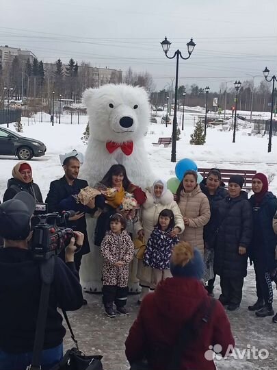 Белый мишка поздравление