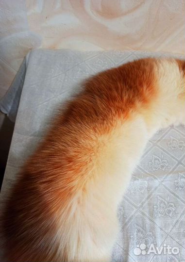 Меховой воротник/горжетка лиса