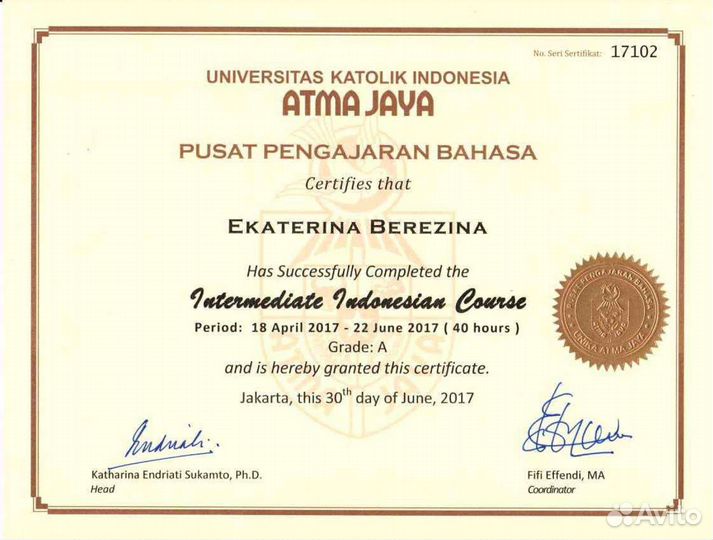 Преподаватель китайского и индонезийского языка